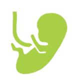 Fetal Medicine