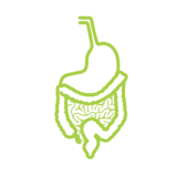 Gastro Surgery