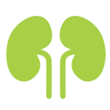 Urology