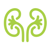 Nephrology
