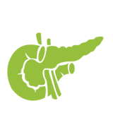 Pancreas